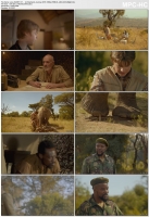 An Elephants Journey 2018 1080p WEB-DL x264 AC3-iM@X An Elephants Journey 2018 1080p WEB-DL x264 AC3-iM@X