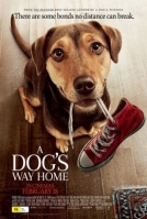 A Dogs Way Home 2019 720p HC HDRip x264 [MW]