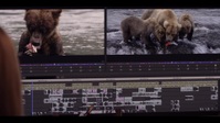 Saint X S01E02 1080p WEB H264-CAKES EZTV Saint X S01E02 1080p WEB H264-CAKES EZTV