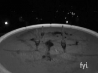 Ghost Hunters S08E24 iNTERNAL 480p x264-mSD [eztv]