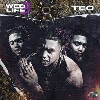 TEC - Web Life Vol. 3-2020-MIXFIEND
