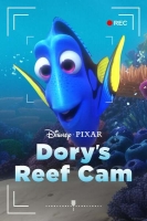 Dorys Reef Cam 2020 HDRip XviD AC3-EVO[TGx]
