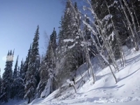 Life Below Zero S14E06 Bone Cold 480p x264-mSD EZTV