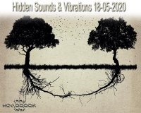 Headdock - Hidden Sounds & Vibrations 18-05-2020 {1337x}