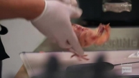 Top Chef S18E01 First Impressions XviD-AFG EZTV