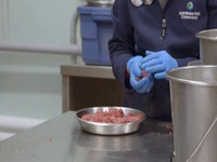 Arctic Vets S02E04 480p x264-mSD EZTV