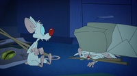 Animaniacs 2020 S01 WEBRip x265-ION265 EZTV