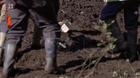 WWII Treasure Hunters S02E05 HDTV x264-CBFM EZTV