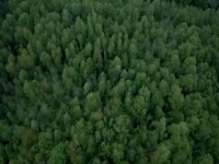 Unearthed 2016 S06E06 Hitlers Lost Bunker 480p x264-mSD [eztv]