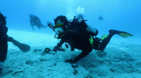 Expedition Unknown S13E06 1080p HEVC x265-MeGusta EZTV