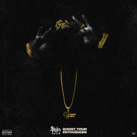 Styles P – Styles David: Ghost Your Enthusiasm (2020) [320 KBPS]
