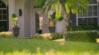 The Real CSI Miami S01E10 720p HEVC x265-MeGusta EZTV The Real CSI Miami S01E10 720p HEVC x265-MeGusta EZTV
