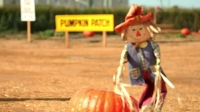 Josh Gates Tonight S02E03 Happy Joshgiving XviD-AFG EZTV Josh Gates Tonight S02E03 Happy Joshgiving XviD-AFG EZTV