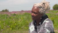 Springwatch S17E11 XviD-AFG EZTV Springwatch S17E11 XviD-AFG EZTV