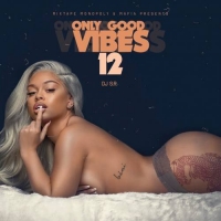 DJ S.R. - Only Good Vibes 12 DJ S.R. - Only Good Vibes 12