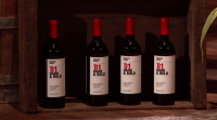 Shark Tank S10E12 WEBRip x264-ION10 Shark Tank S10E12 WEBRip x264-ION10