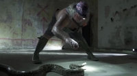 Swamp People Serpent Invasion S02E06 XviD-AFG EZTV Swamp People Serpent Invasion S02E06 XviD-AFG EZTV