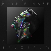 Purple Haze - SPECTRVM (Trance) (2017) (320) [DJ]