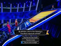 The Chase US S02E13 480p x264-mSD EZTV The Chase US S02E13 480p x264-mSD EZTV