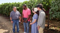 Roots Less Traveled S04E04 720p WEB h264-DiRT EZTV Roots Less Traveled S04E04 720p WEB h264-DiRT EZTV