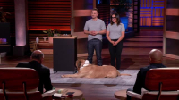 Shark Tank S15E15 XviD-AFG EZTV Shark Tank S15E15 XviD-AFG EZTV