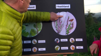 Springwatch S19E11 XviD-AFG EZTV