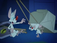 Animaniacs 2020 S01E13 480p x264-mSD EZTV Animaniacs 2020 S01E13 480p x264-mSD EZTV