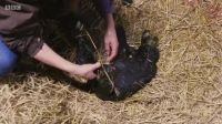 This Farming Life S04E08 XviD-AFG EZTV This Farming Life S04E08 XviD-AFG EZTV