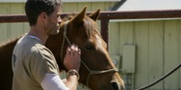 Walker S01E10 720p HEVC x265-MeGusta EZTV Walker S01E10 720p HEVC x265-MeGusta EZTV