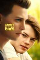 Giant Little Ones 2019 1080p WEB-DL H264 AC3-EVO[TGx]