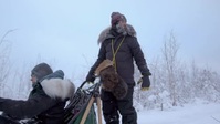 Life Below Zero Next Generation S05E20 XviD-AFG EZTV Life Below Zero Next Generation S05E20 XviD-AFG EZTV