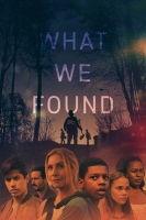 What We Found 2020 HDRip XviD AC3-EVO[TGx]