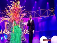 The Masked Singer AU S03E04 480p x264-mSD EZTV