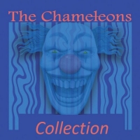 The Chameleons - Collection (1983-2013) (320) [DJ]