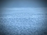 The UnXplained S05E01 480p x264-mSD EZTV