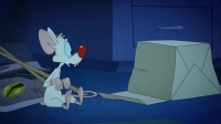 Animaniacs 2020 S01E13 XviD-AFG EZTV