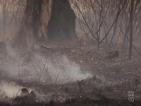 Outback Ringer S02E06 480p x264-mSD EZTV