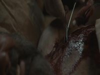 Silo S02E06 480p x264-mSD EZTV