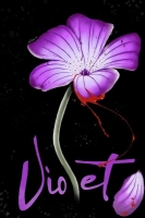 Violet (2020) HDRip x264 - SHADOW[TGx]