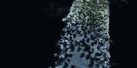 The First S01E03 WEBRip x264-TBS[eztv]