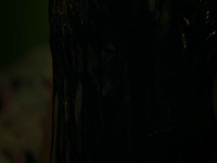 Terror Tuesday Extreme S01E08 480p x264-mSD EZTV Terror Tuesday Extreme S01E08 480p x264-mSD EZTV