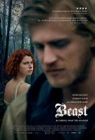 Beast 2017 DVDRip x264 AC3-iCMAL