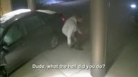 Parents Gone Wild S01E03 XviD-AFG EZTV Parents Gone Wild S01E03 XviD-AFG EZTV