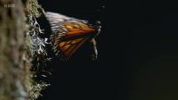 Planet Earth III S01E06 Extremes XviD-AFG EZTV Planet Earth III S01E06 Extremes XviD-AFG EZTV