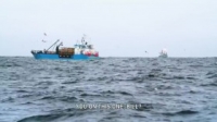 Deadliest Catch S15E06 WEB x264-TBS [eztv]