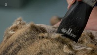 The Yorkshire Vet S15E05 XviD-AFG EZTV