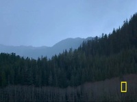Life Below Zero Next Generation S04E10 480p x264-mSD EZTV
