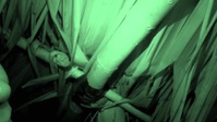 Naked and Afraid S17E07 XviD-AFG EZTV