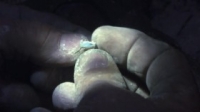 Outback Opal Hunters S03E09 WEB x264-APRiCiTY [eztv]