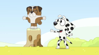 Bluey S03E44 XviD-AFG EZTV